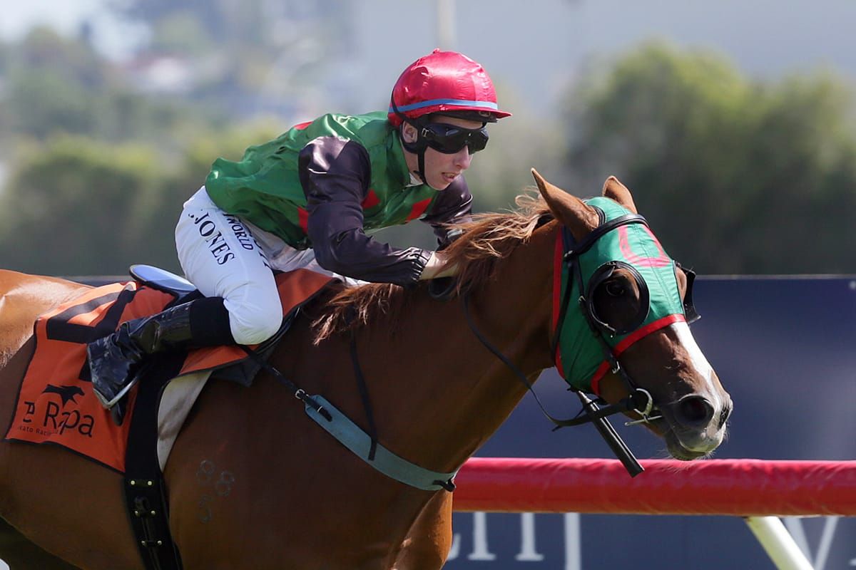 Stakes success still sinking in for young apprentice