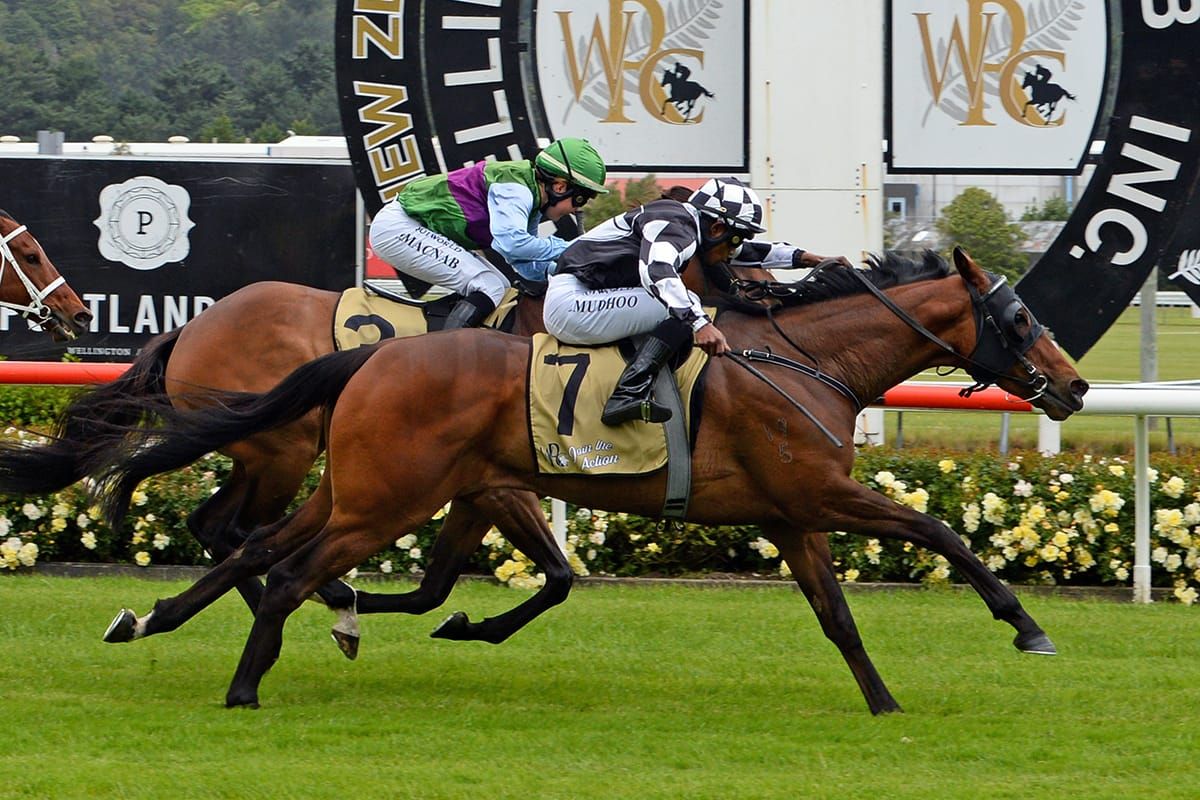 Higher honours await Justaskme