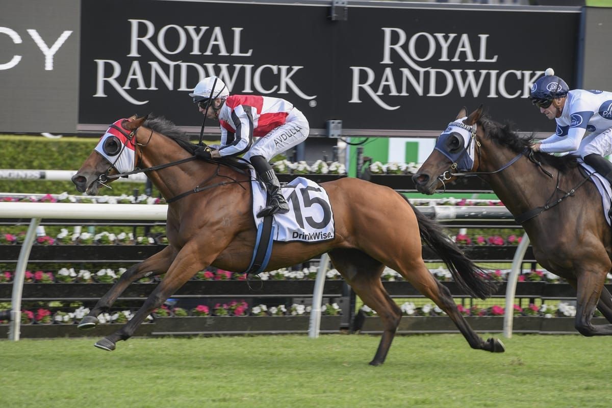 Kirwan’s Lane to tackle Gold Coast feature