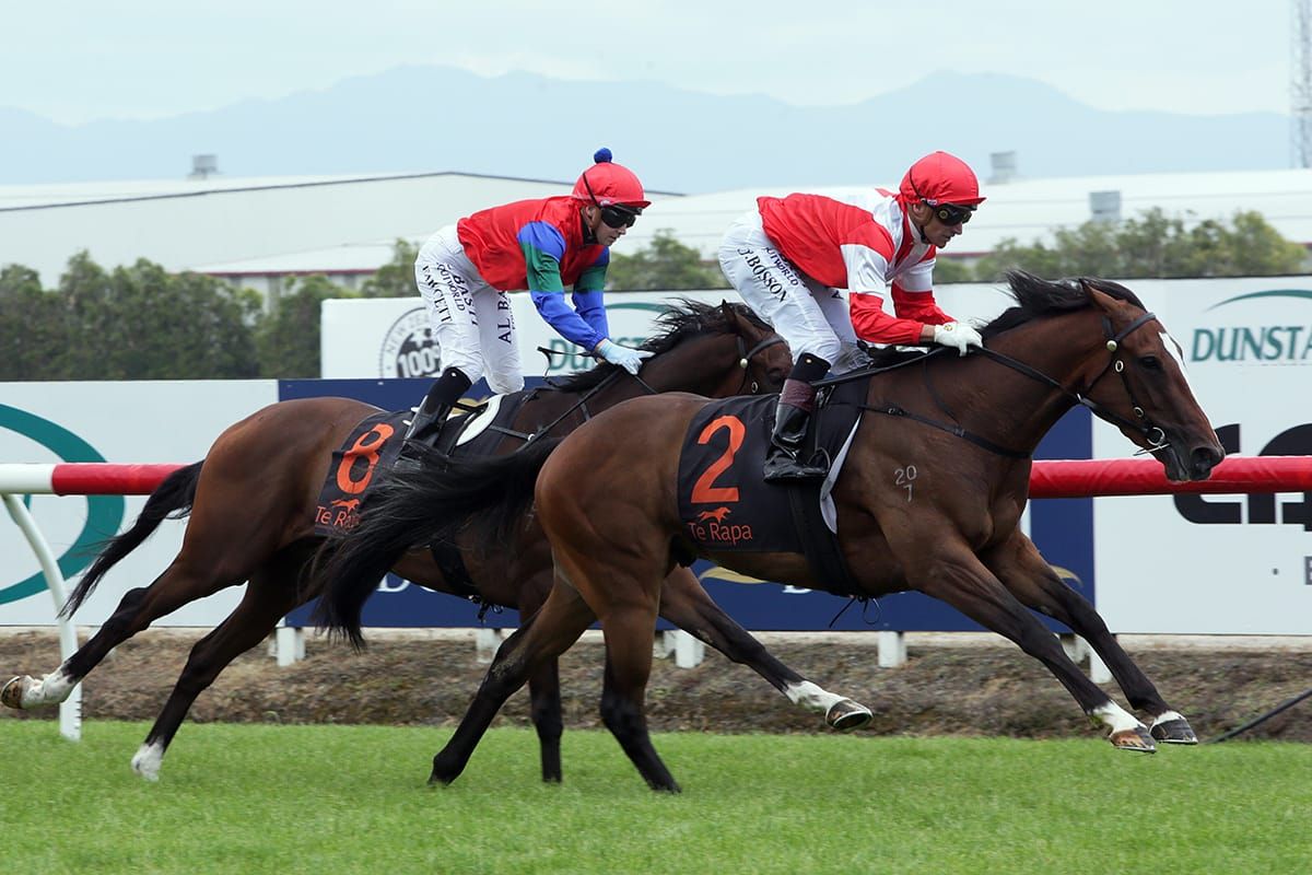 Familiar look to impressive Te Rapa maiden winner