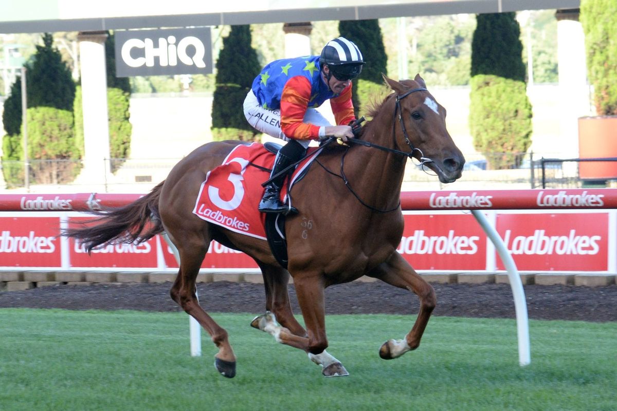 Impressive maiden victory for Nikau Spur