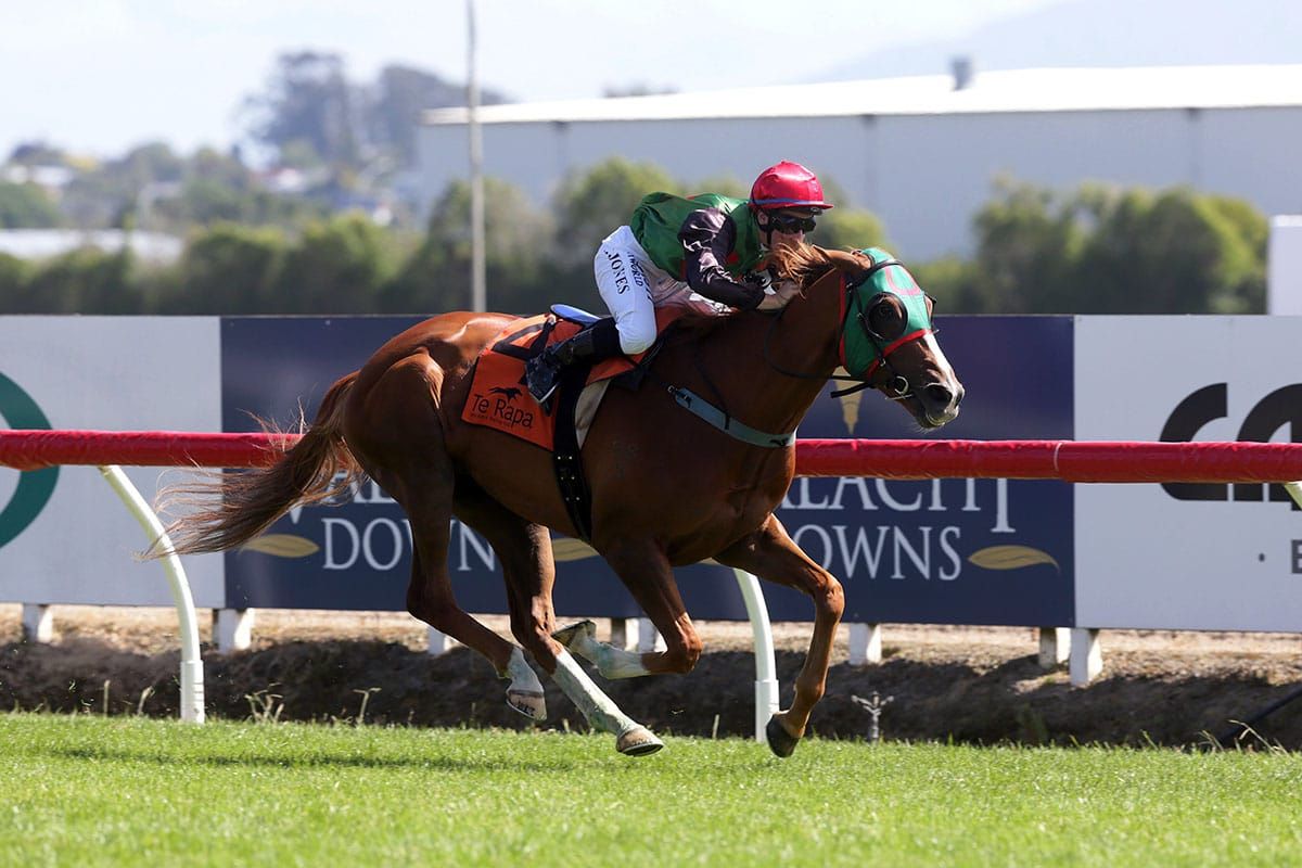 Daring ride pays off in Waikato Cup