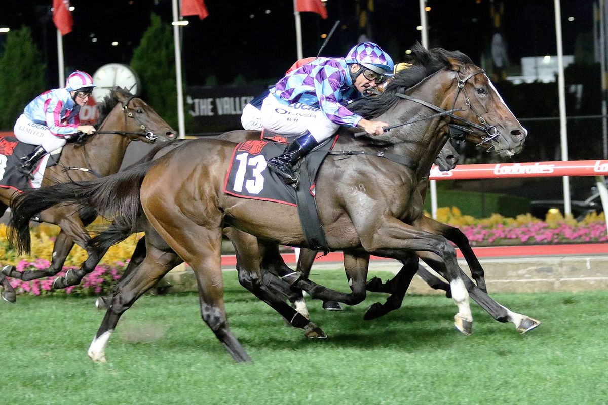 Cup start up in the air for Princess Jenni