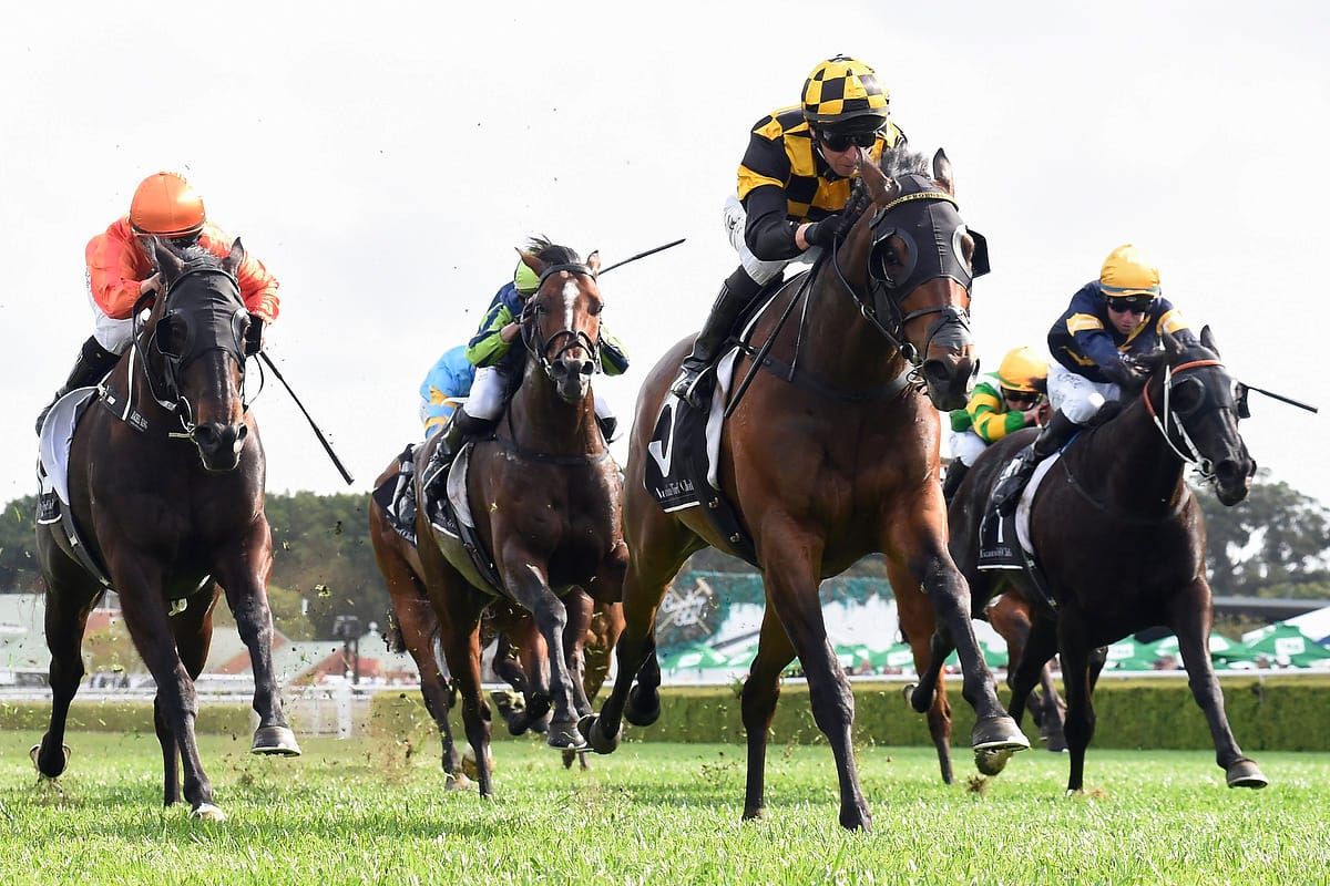 Ellis reflects on momentous year for Te Akau Racing