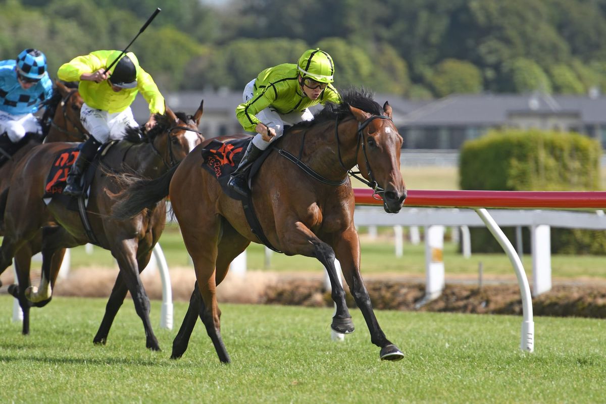 Pinn appreciative of racing reprieve