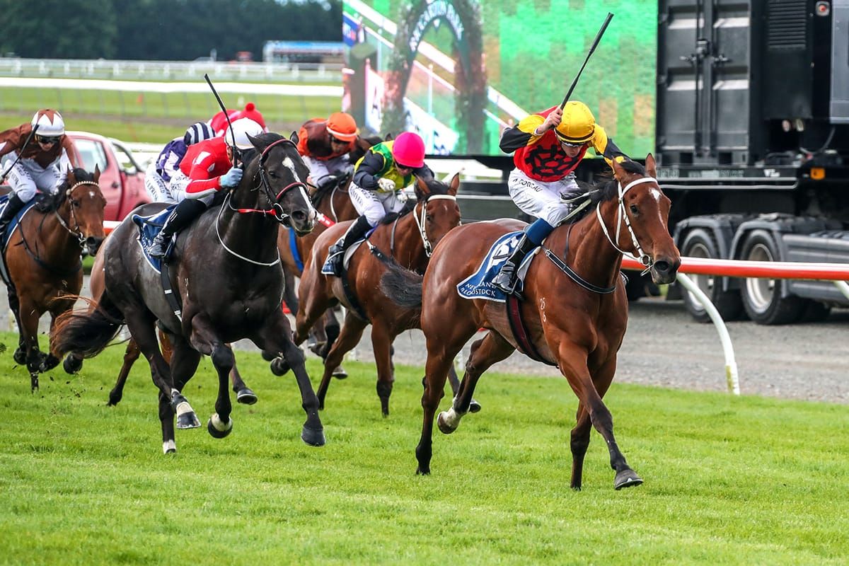 Miller makes southern raid