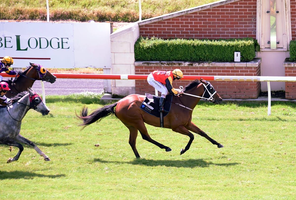 Northern raider dominates in Hazlett Stakes