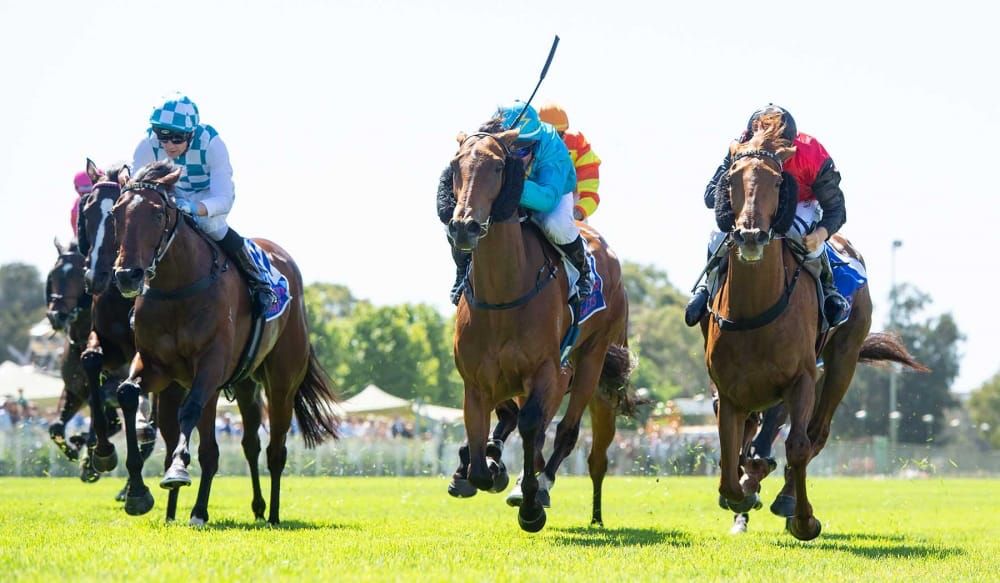 She’s Alight shines brightly at Ascot