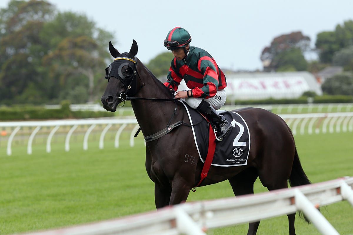 Asano quickly off the mark in northern stint