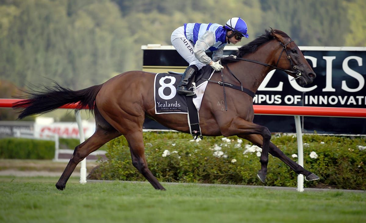 Supera surging towards finishing line