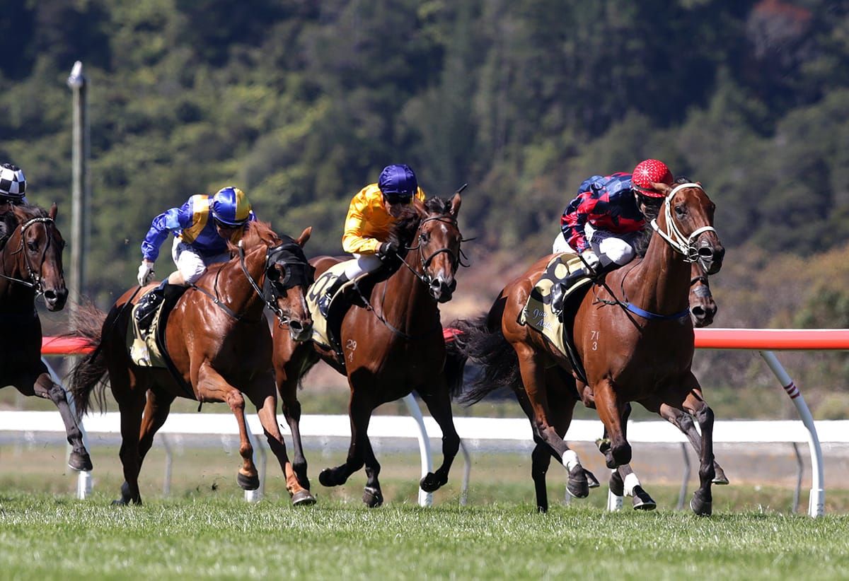 Tricky track conditions at Trentham