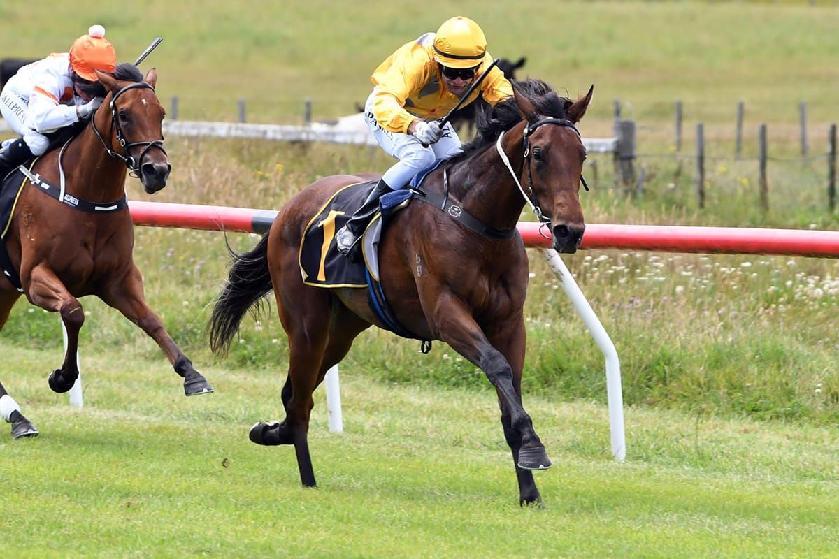 Ansu scores impressive debut win for Didham