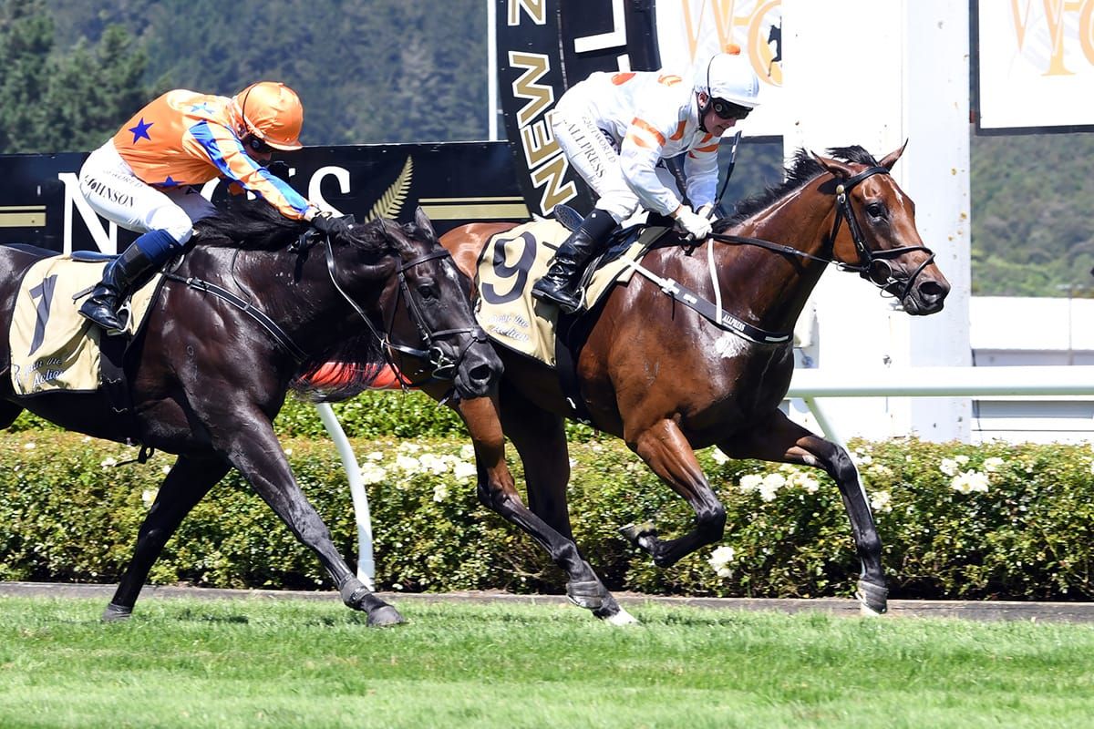 Understated Otaki couple enjoy Group One success