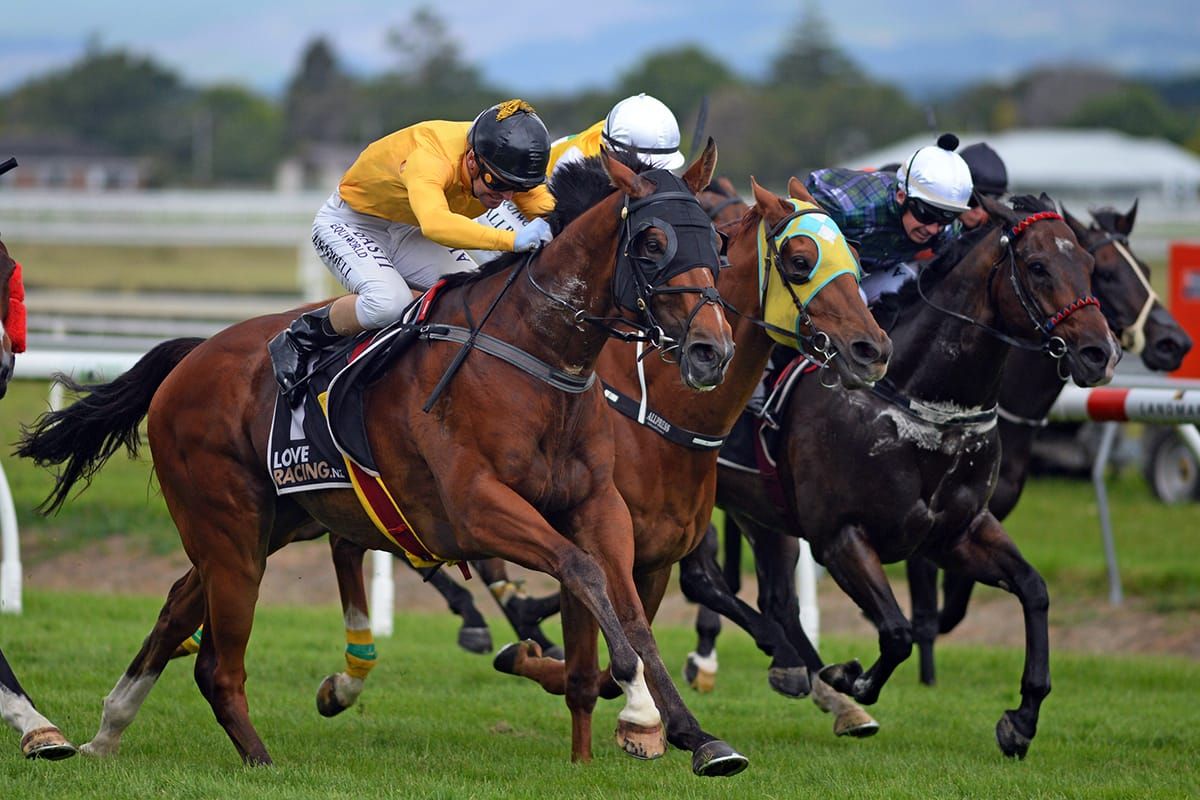 Callsign Mav all class at Awapuni