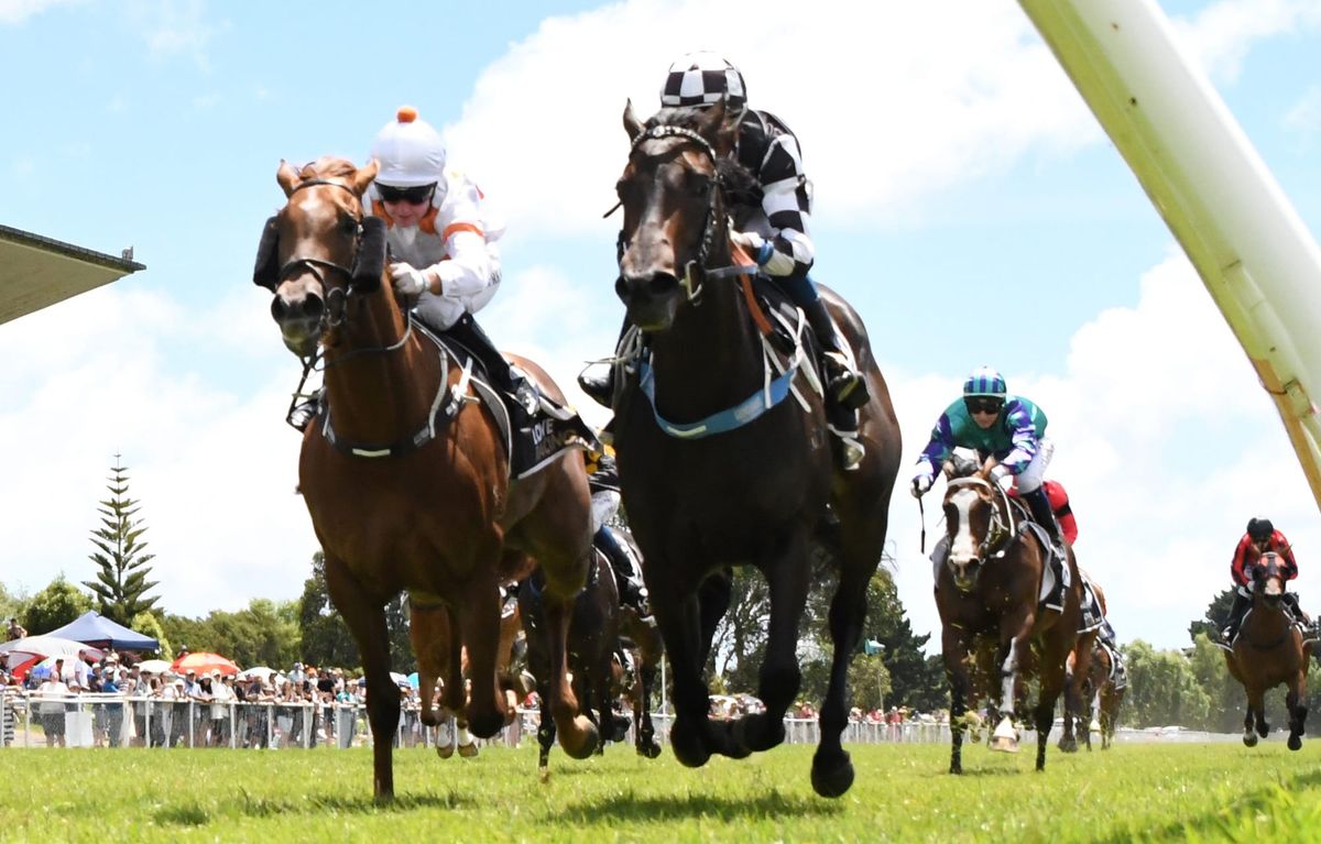 Darci La Bella out to emulate her older brother