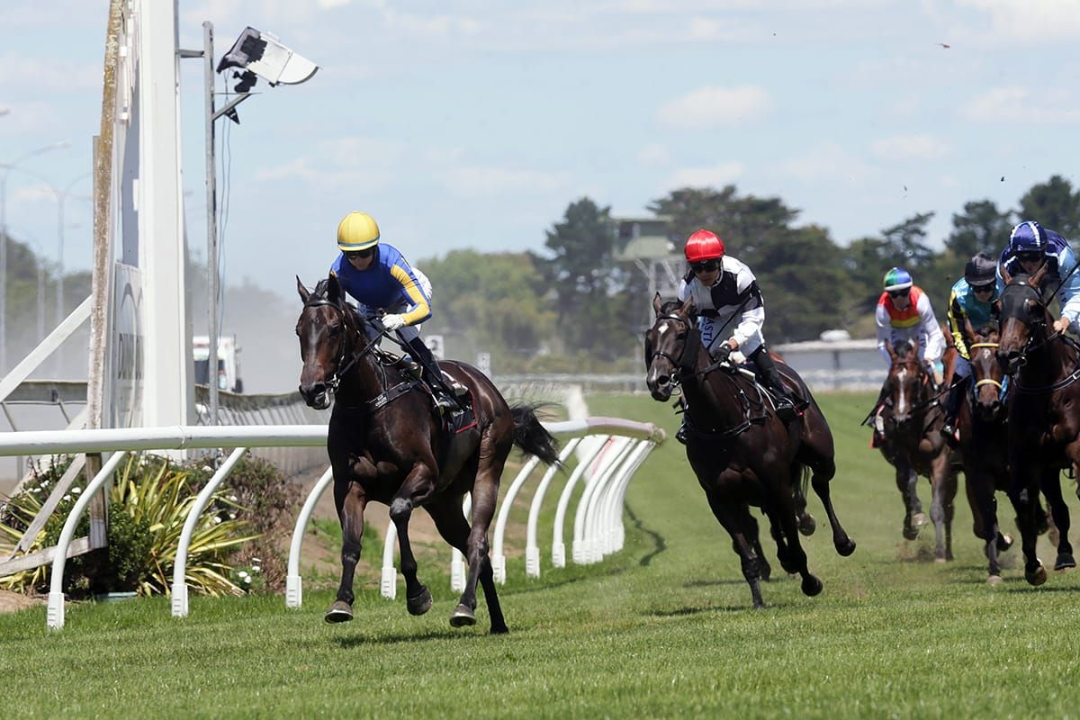 Local galloper impresses at Pukekohe