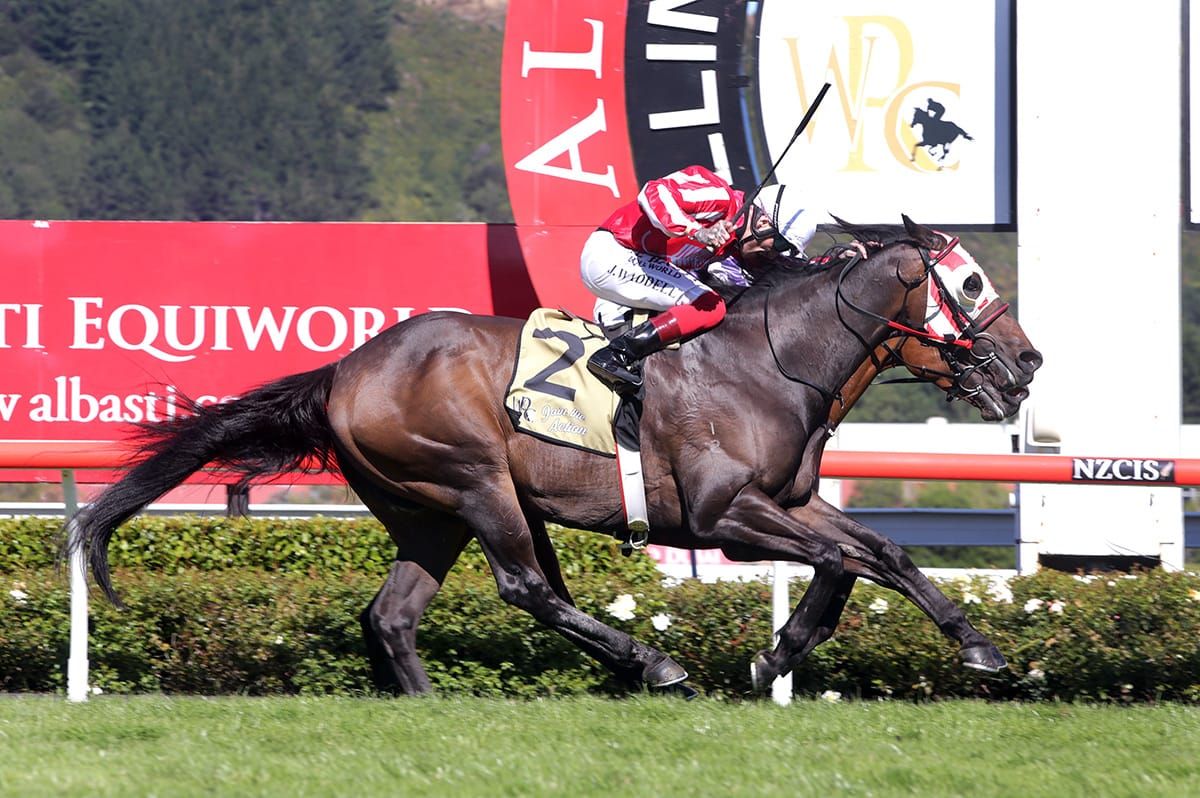 Trentham return for Enzo’s Lad