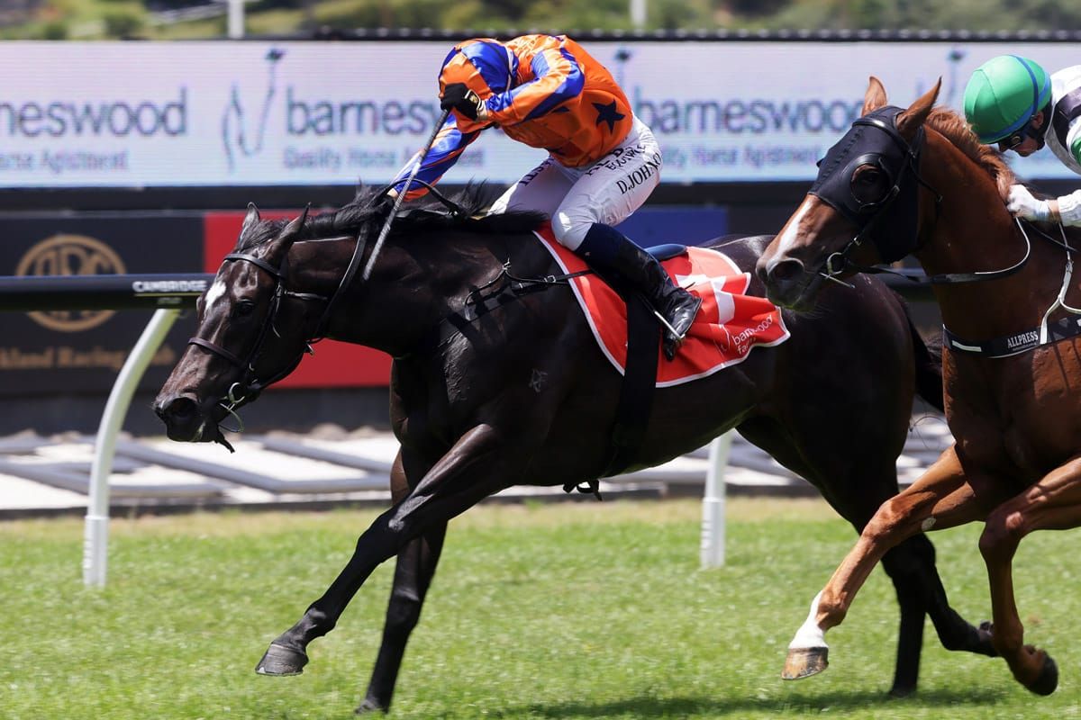 Richards and Johnson continue carnival roll