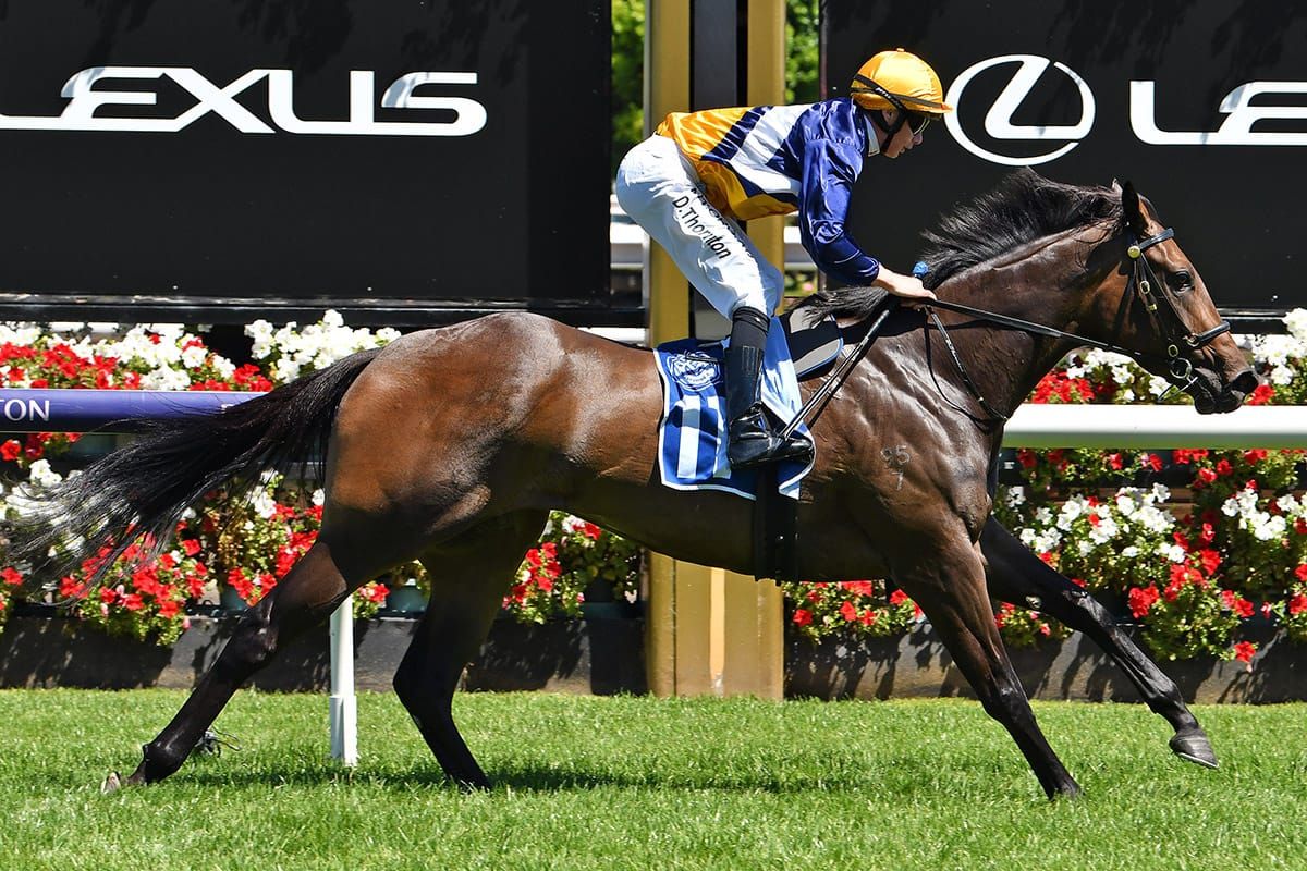 Island Joy atones for defeats