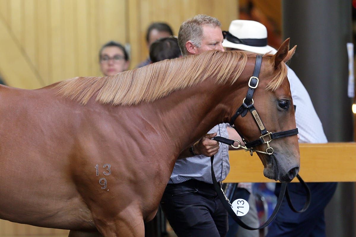 Highline celebrate red letter day