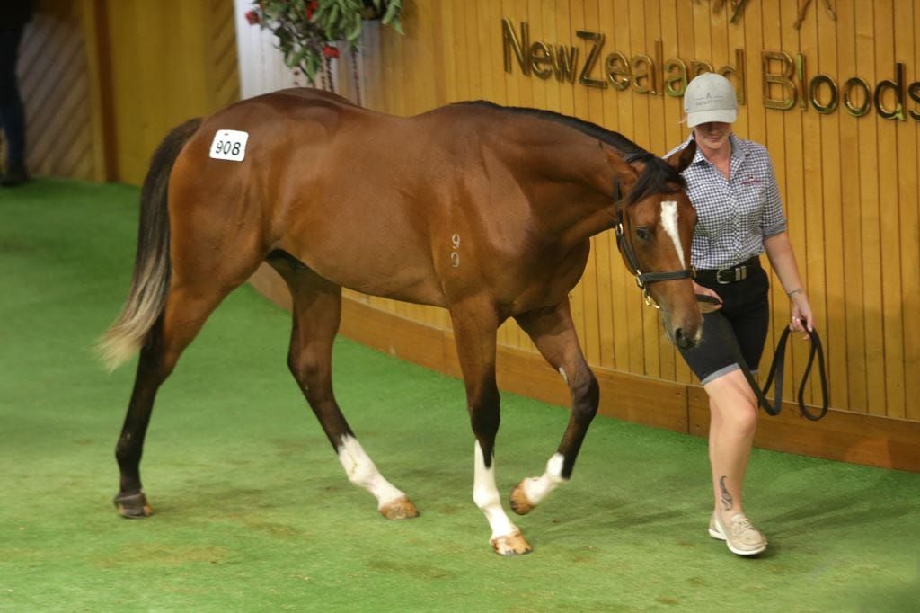 Ardsley Stud play key role in bumper day at Karaka