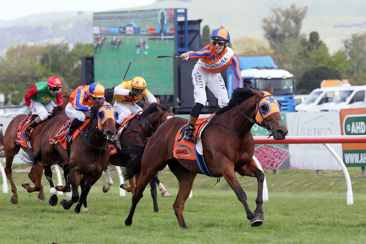 Melody Belle pleases in Te Rapa hit-out