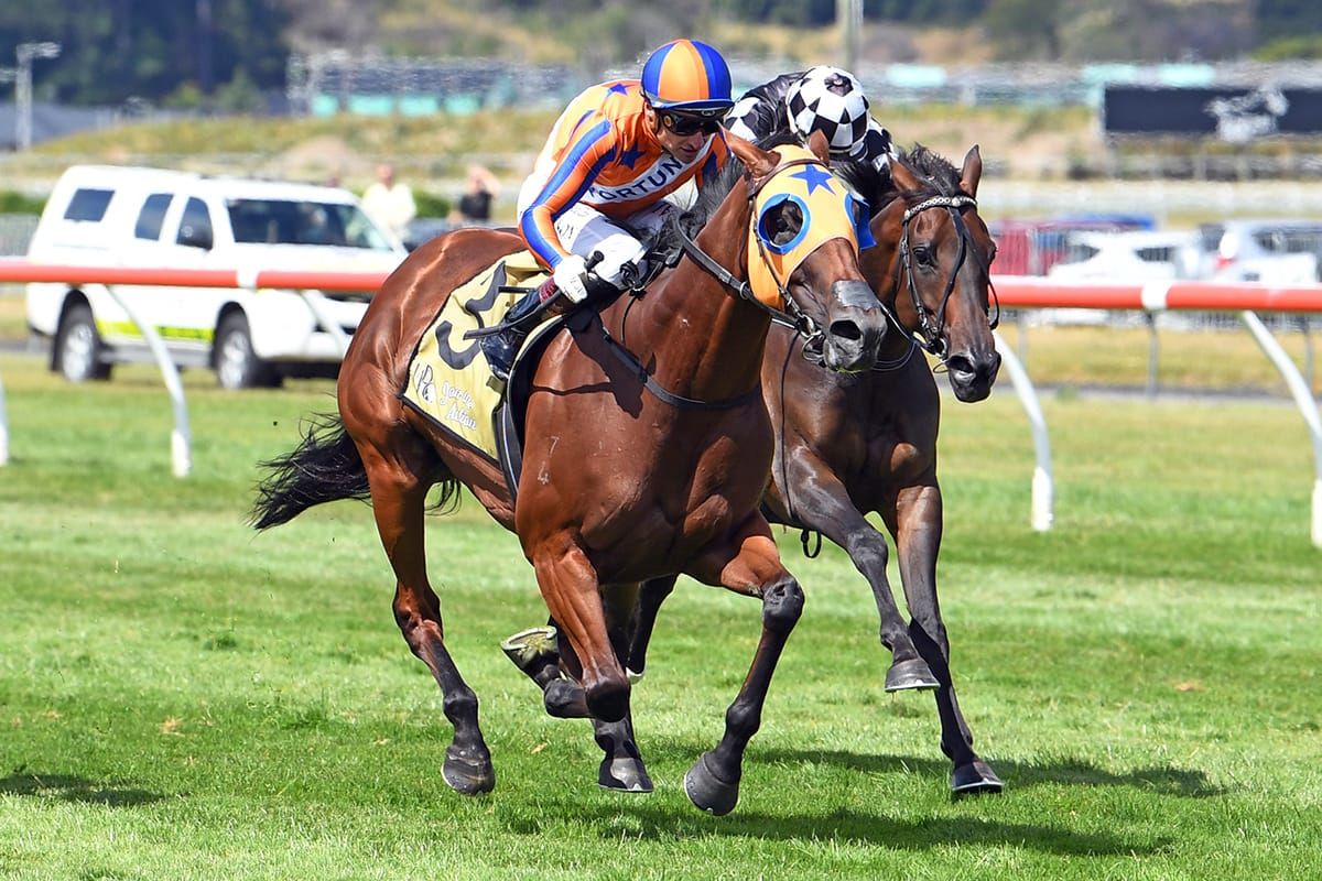 Melody Belle equals the mighty Sunline with Trentham victory