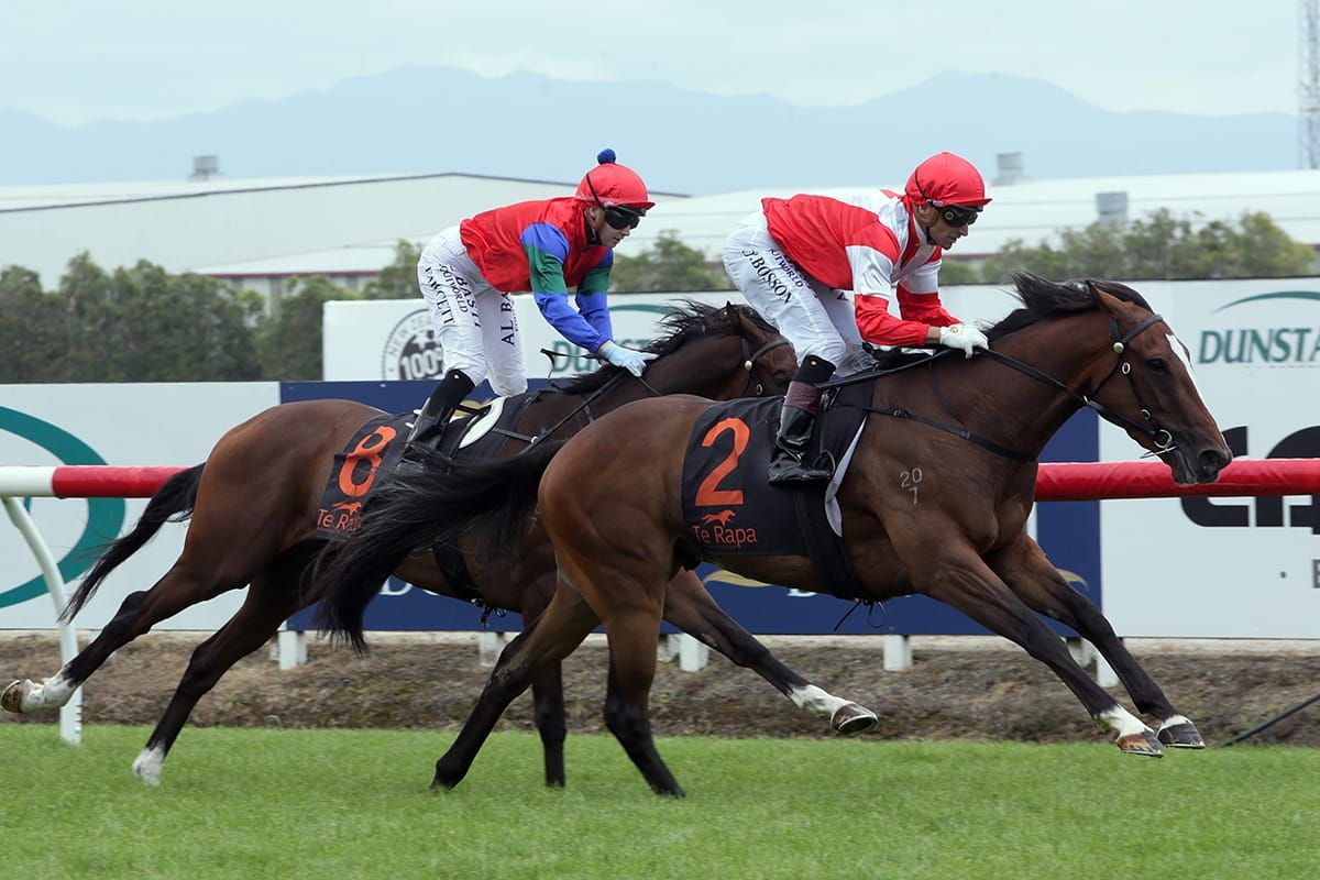 Staying test likely to suit Mongolian Wings