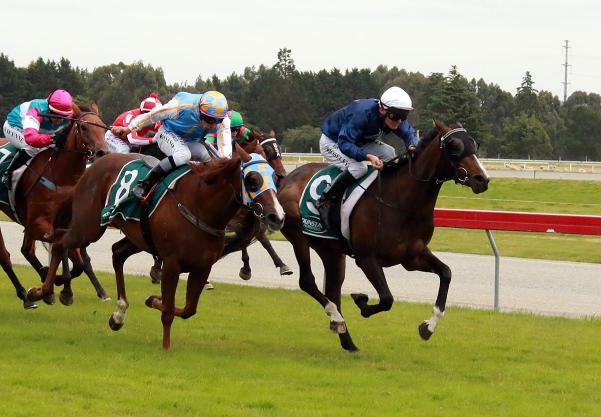 Showemhowitsdone survives scary moment to take Gore Guineas
