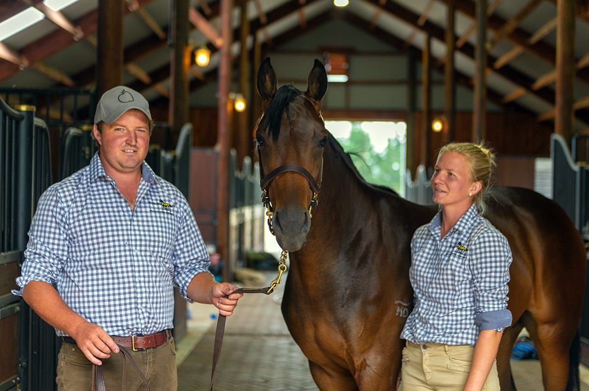 Woburn Farm excited about Karaka yearlings