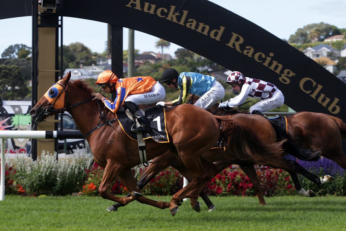 Te Akau Racing to the fore on Karaka Million racenight