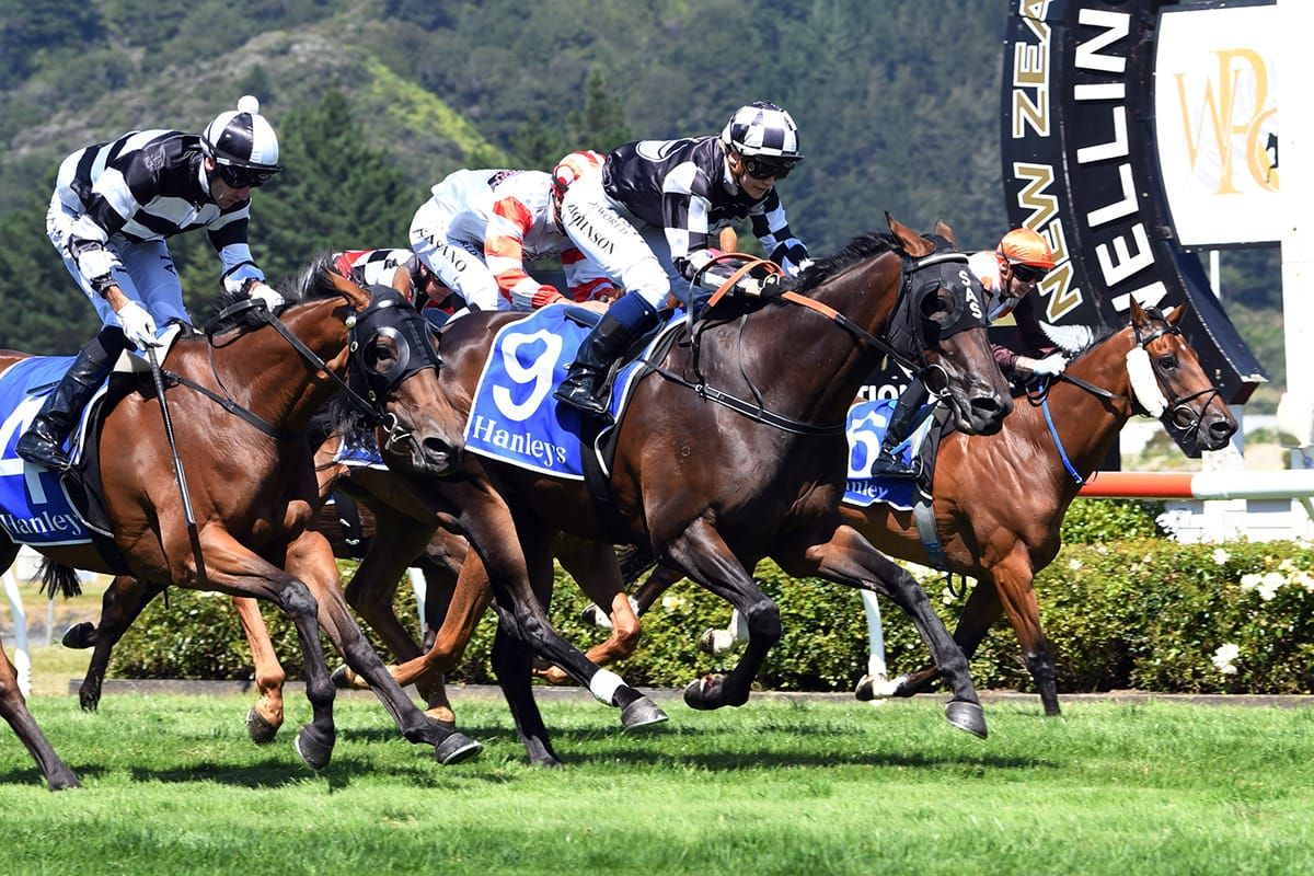 Derby start for Shamus in the balance