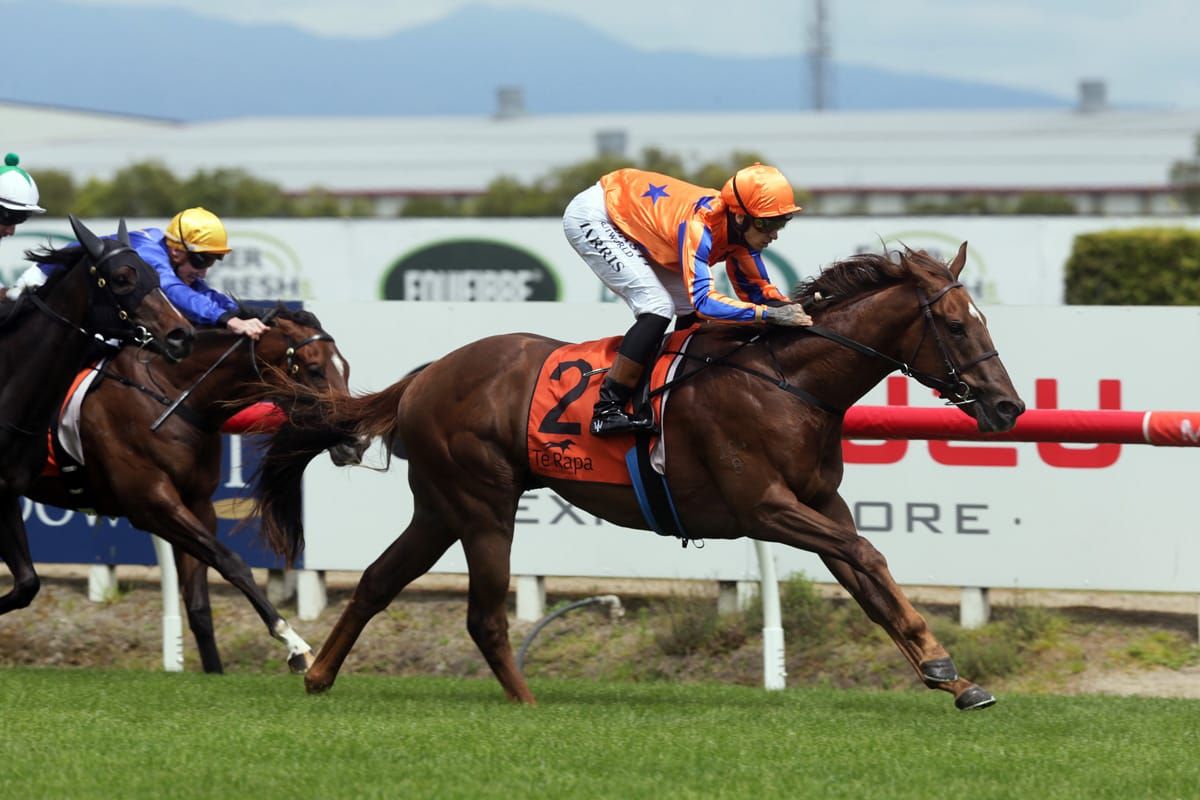 Palamos withdrawn from Karaka Million