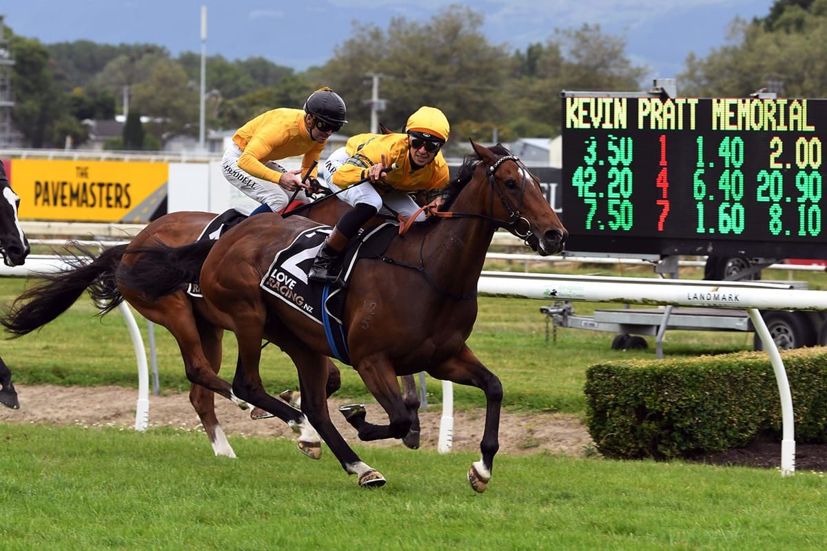 Tavi Mac steps into Seabiscuit role