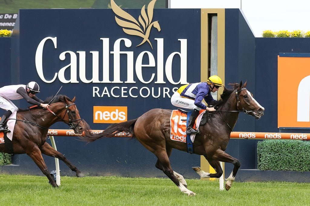 He's raw but Zac is the Boss