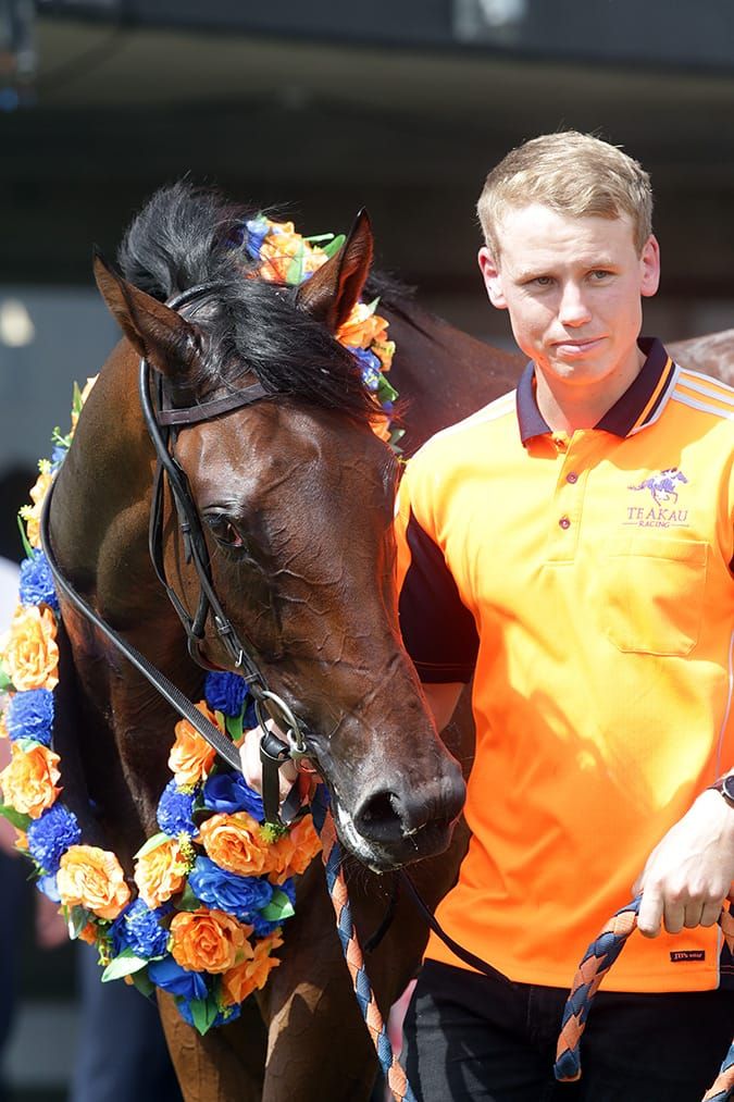 Amarelinha back to her best at Te Rapa