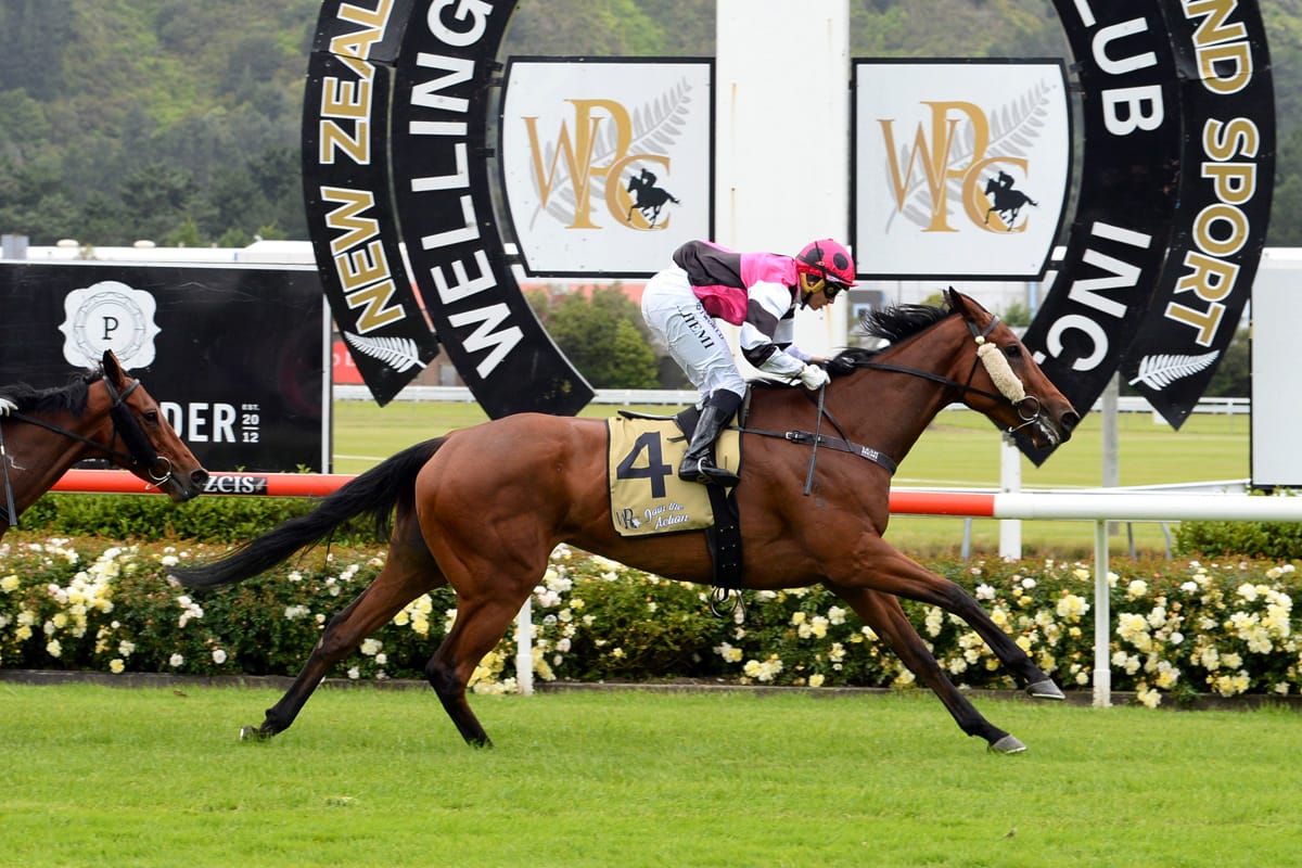 Auckland is calling for City Slicker