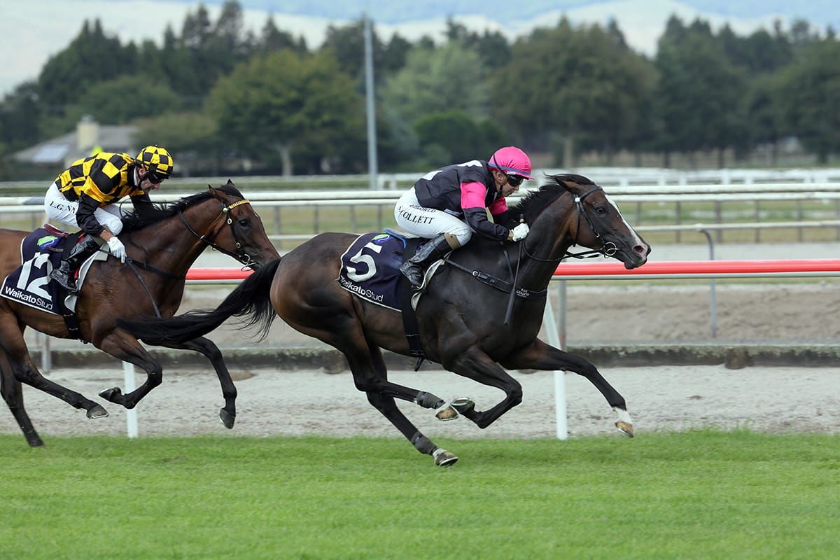 All roads lead to Te Aroha for Coventina Bay