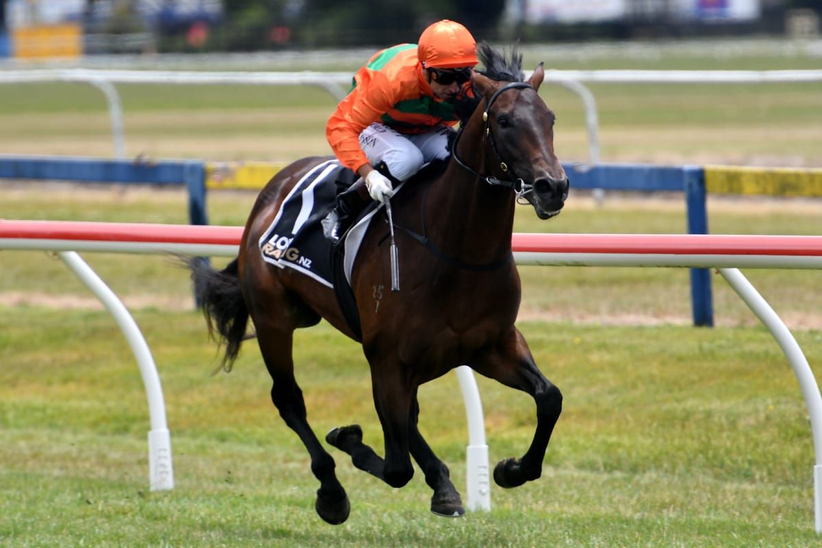 Frontman to New Zealand Derby