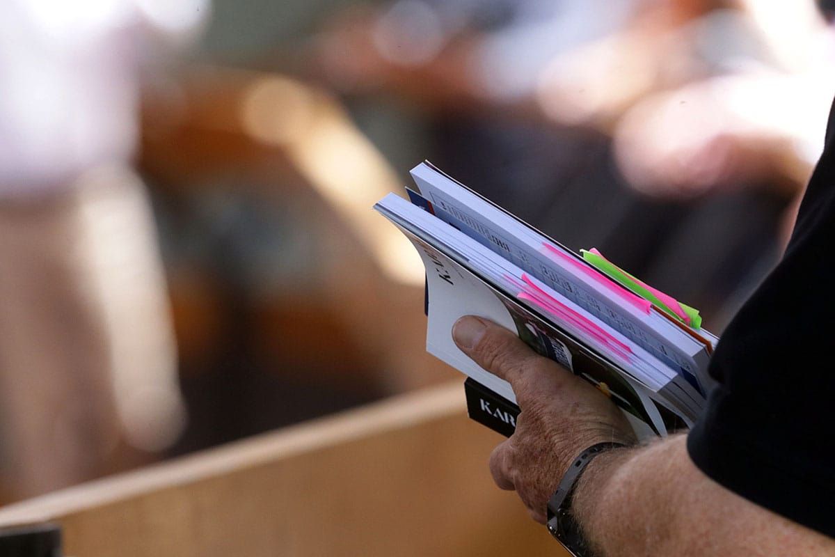 Entries Open for NZB’s South Island Sale