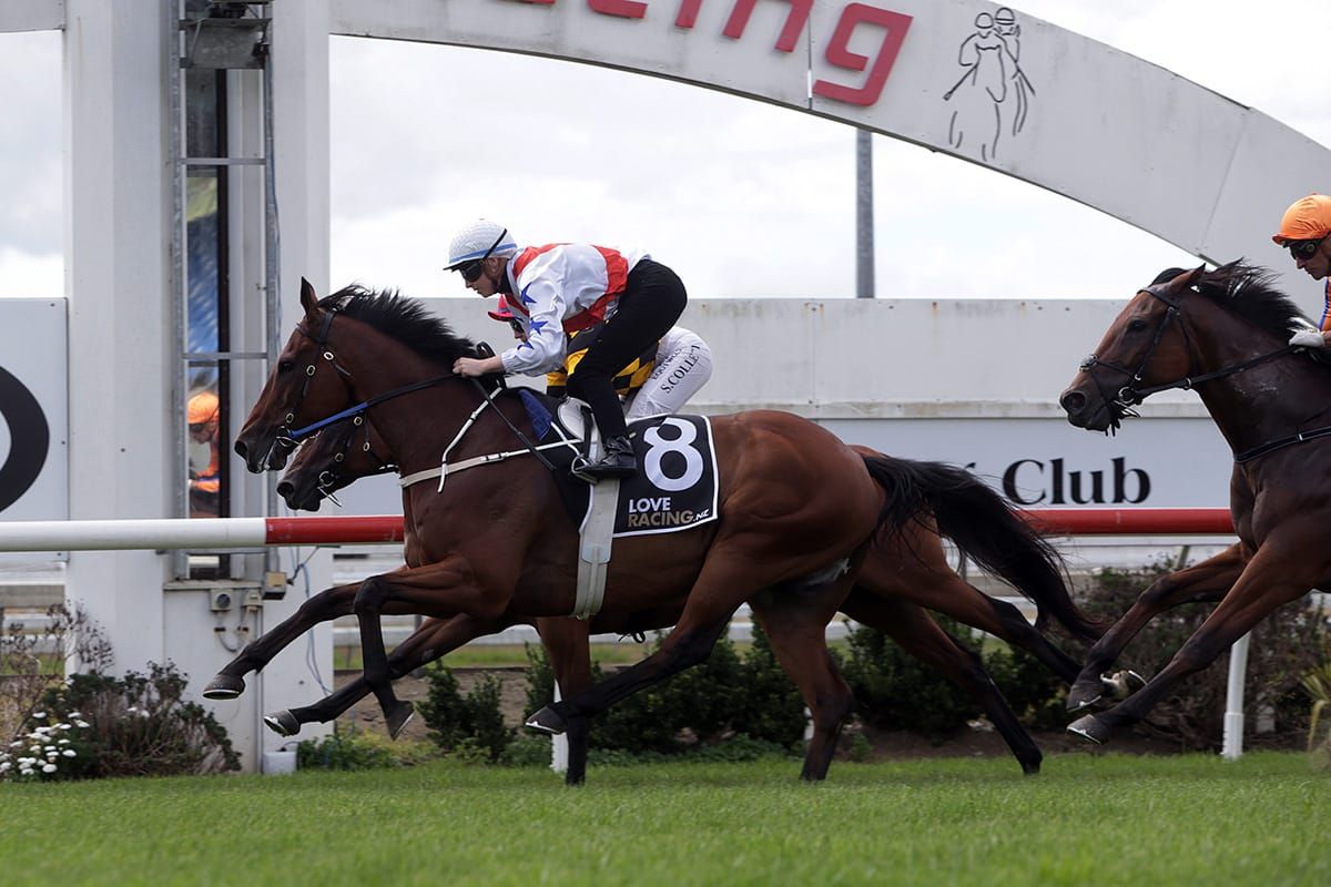 Germanicus wins star-studded trial