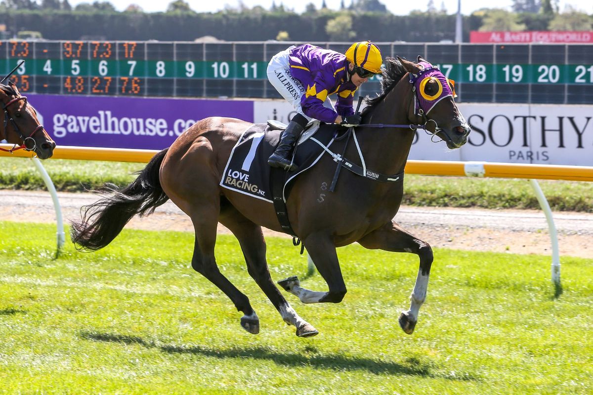 Khimar War set for Riccarton battle