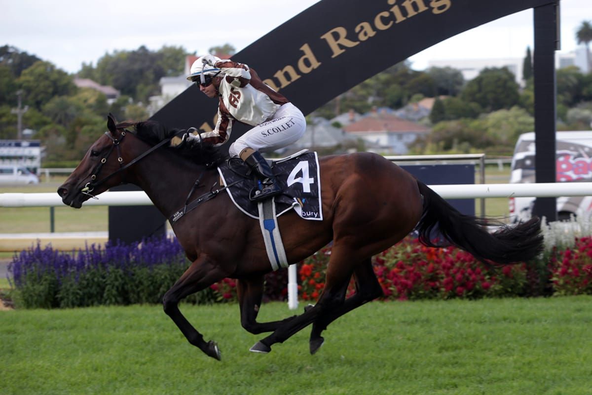 Levante primed for Te Rapa test