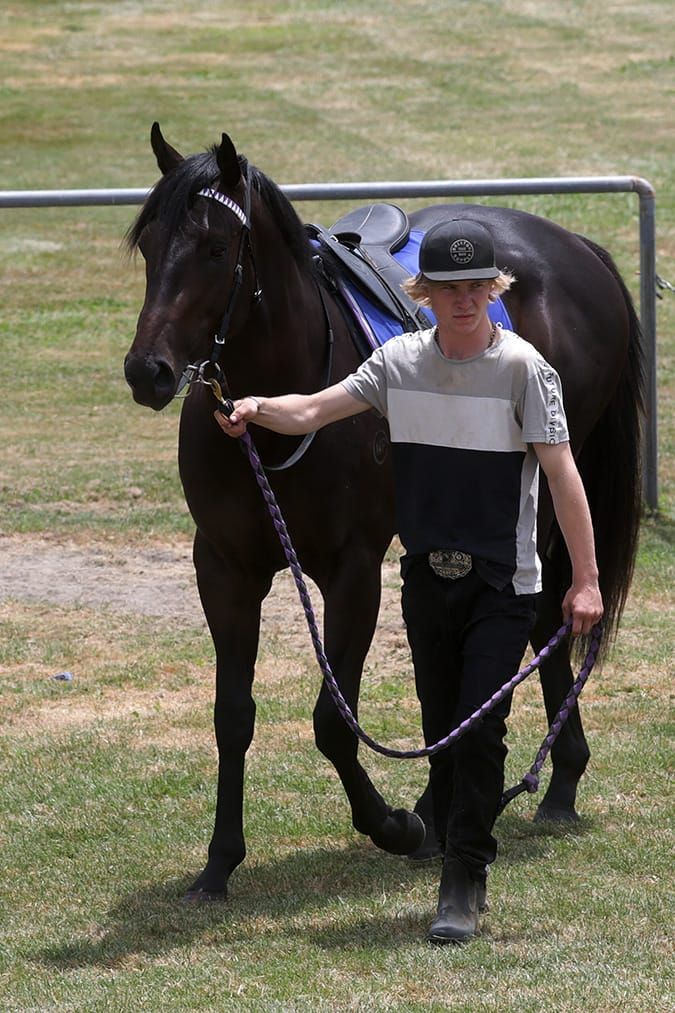 Stakes test first-up for Mana Nui