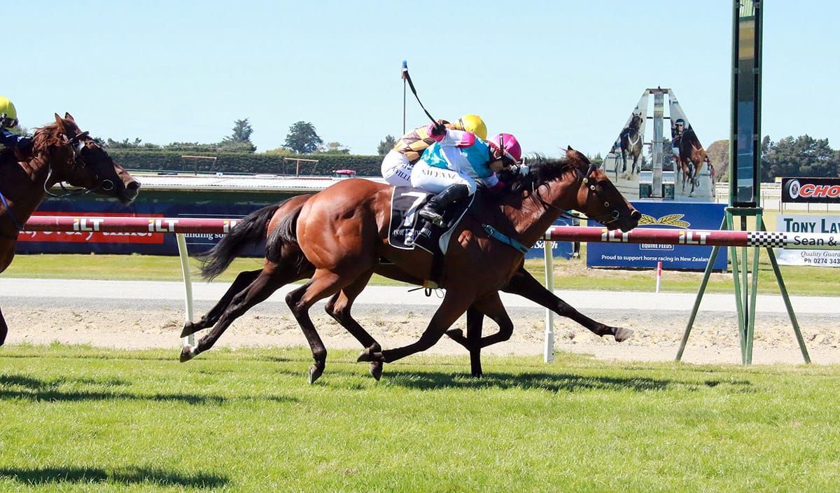 Chokito takes out Southland Guineas