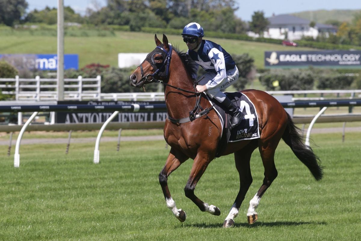 Bid to live your Derby dream for a day