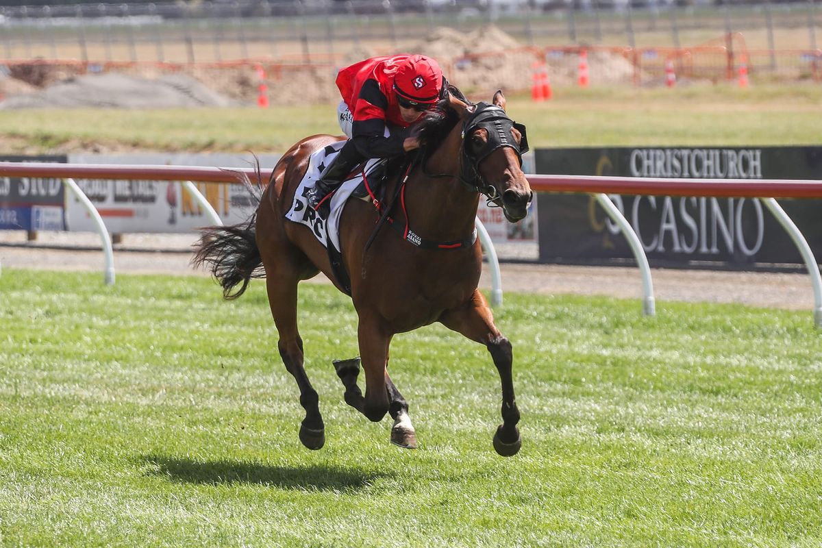 Northern features beckon promising juvenile