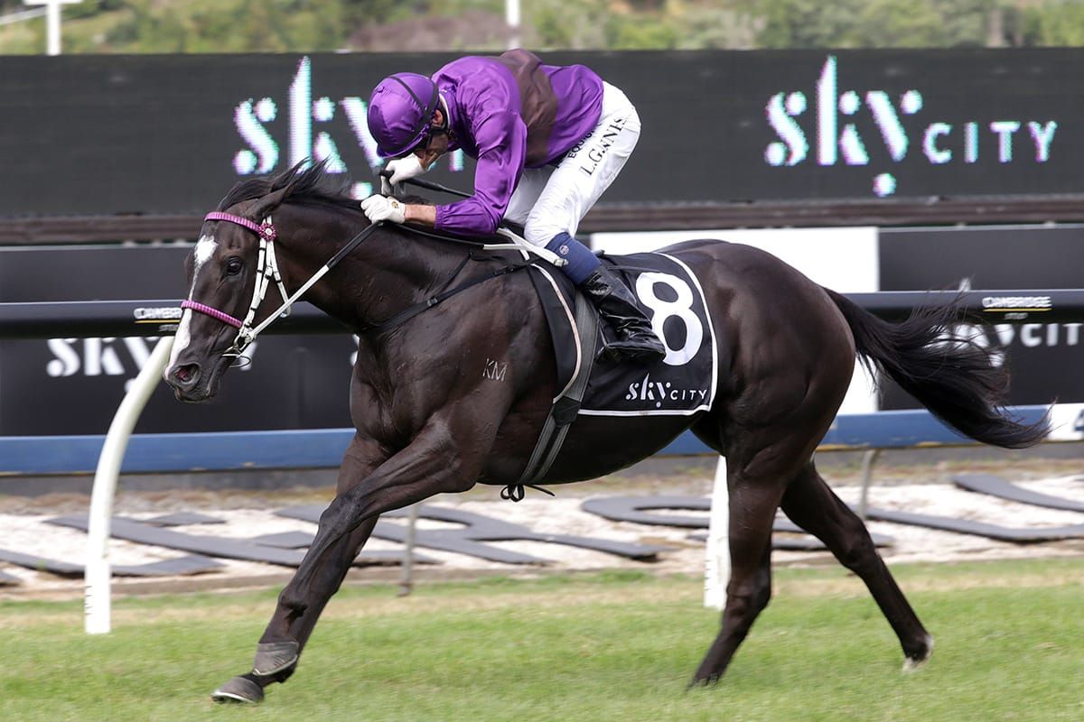 Platinum Invador ticks plenty of boxes