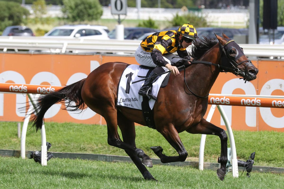 Brilliant return from Probabeel