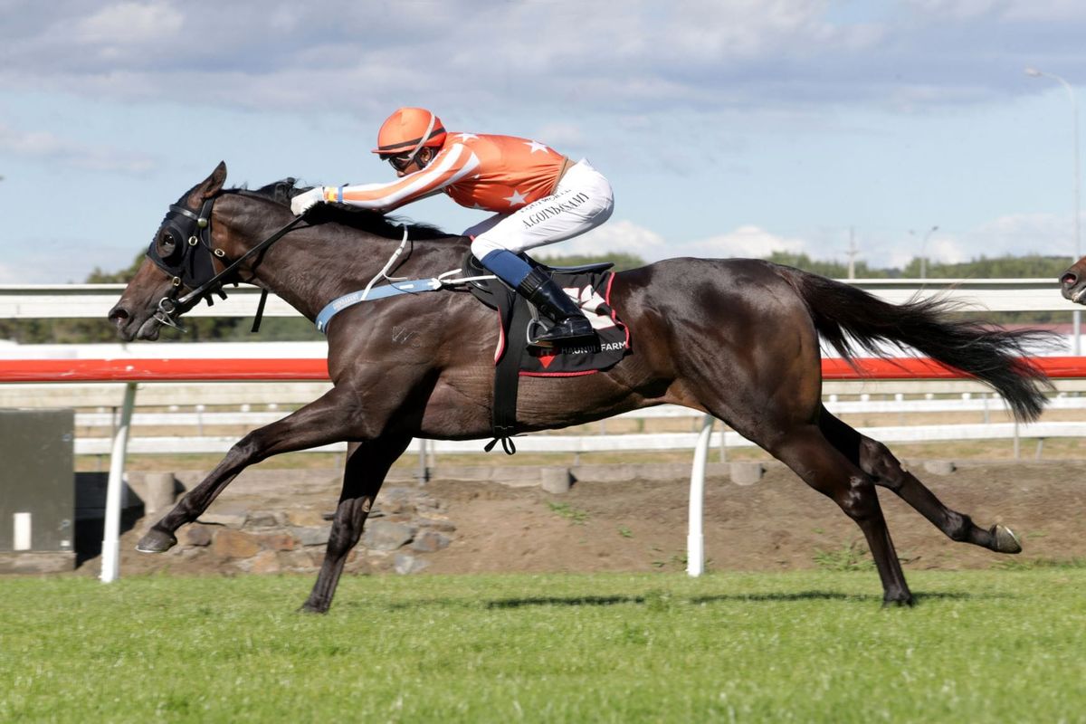 Williams pair on target for Group One assignments